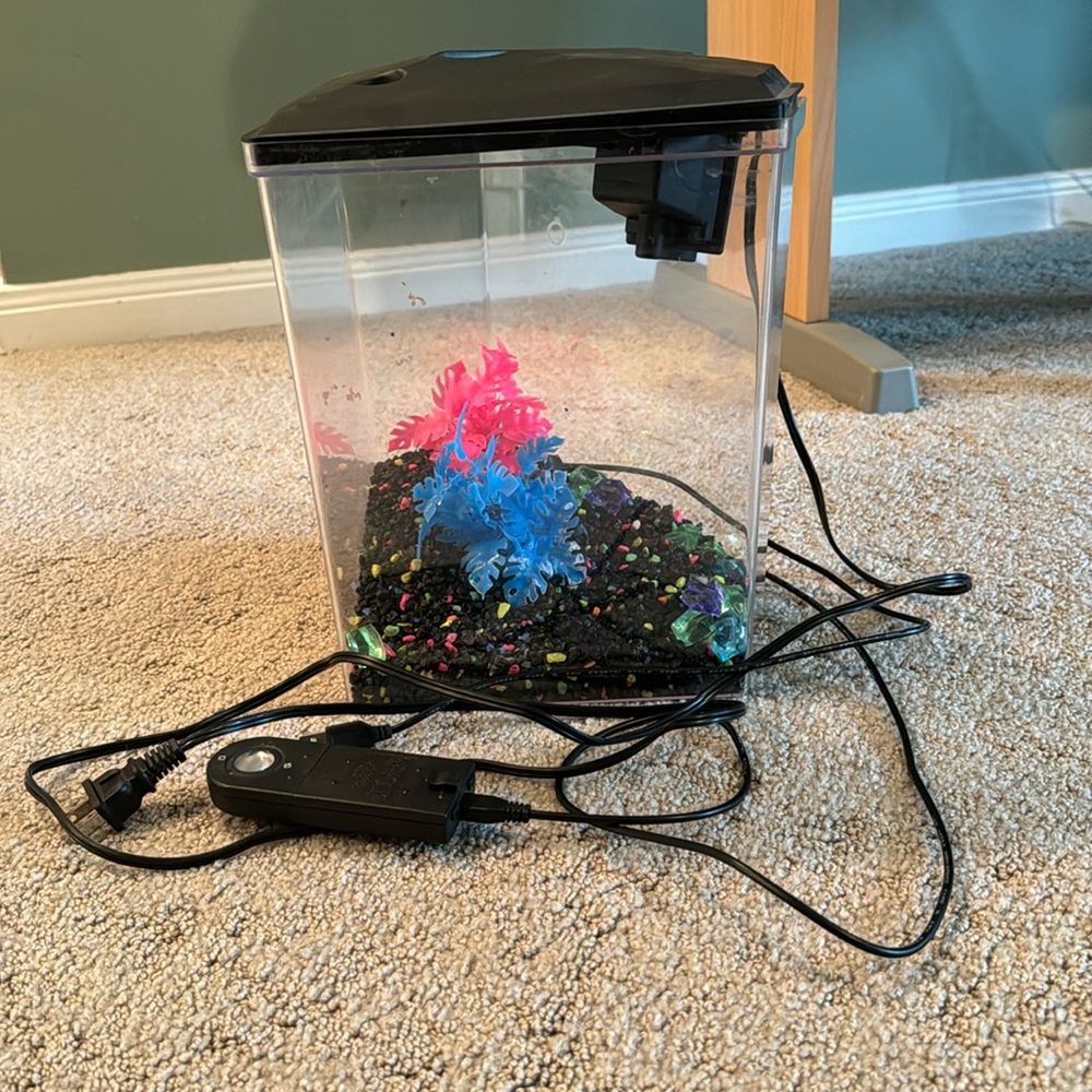 Small fish tank.
